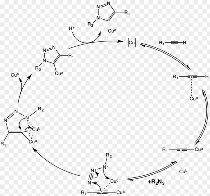Cycle Azide-alkyne Huisgen Cycloaddition Click Chemistry PNG