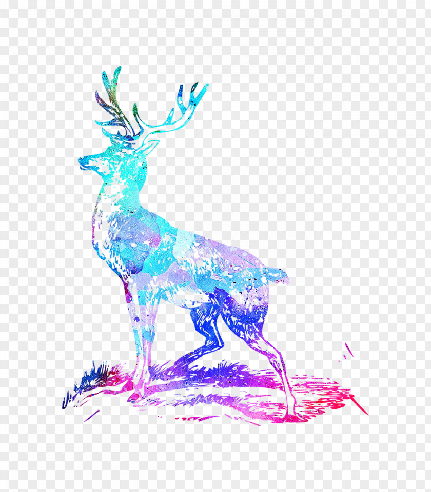 Reindeer Drawing Illustration /m/02csf PNG