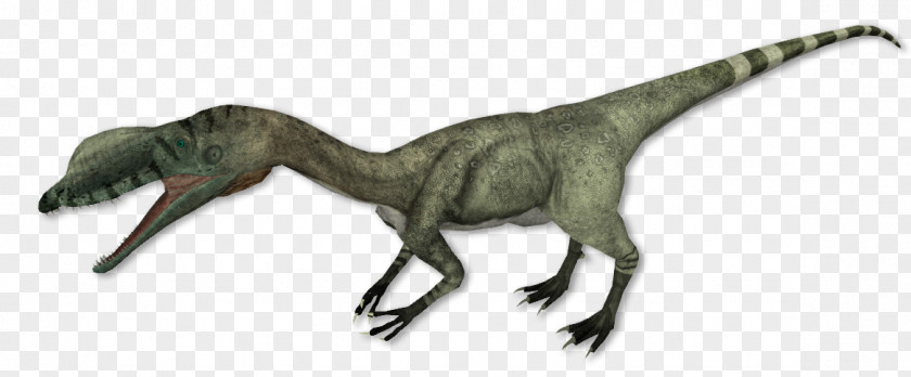 Ring Tailed Lemur Liliensternus Procompsognathus Cryolophosaurus Theropods Velociraptor PNG
