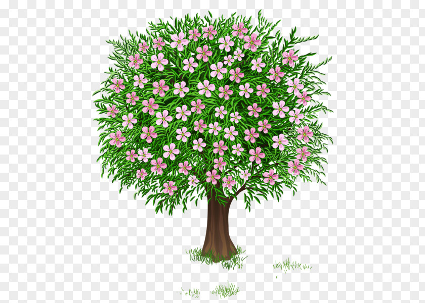 Spring Tree Shrub Clip Art PNG