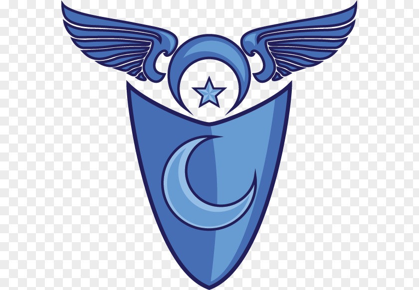 5 Stars Logo Republic PNG