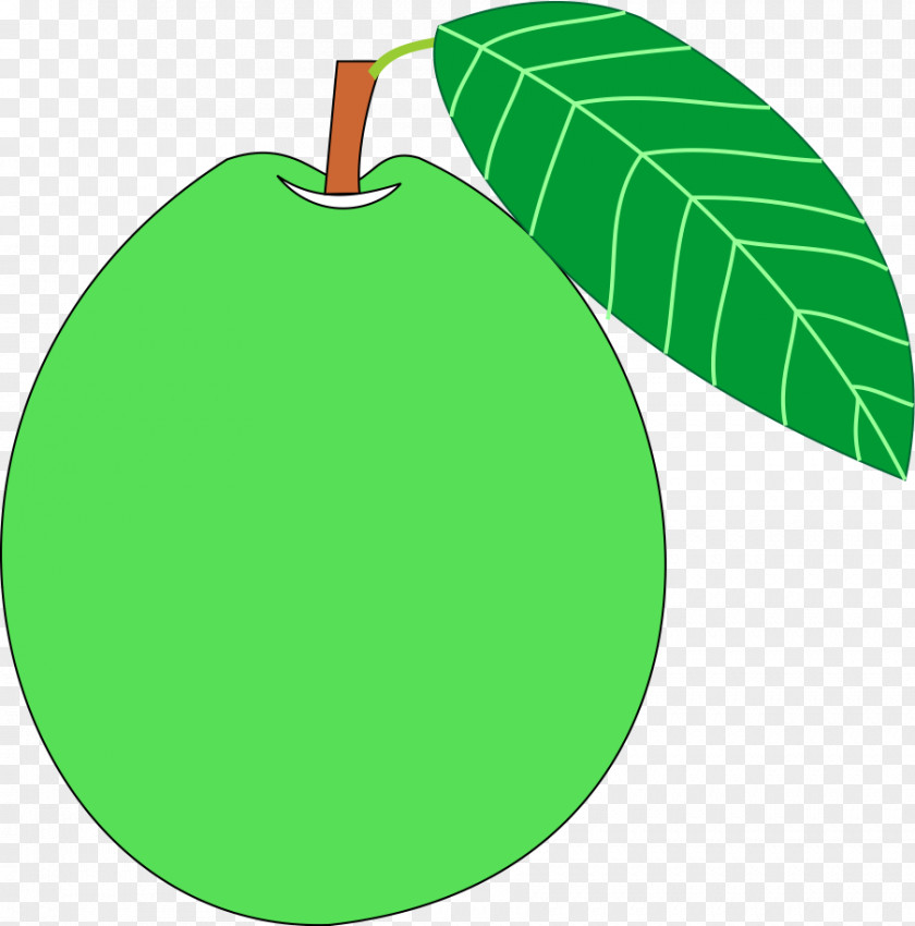 Anggrek Cartoon Animation Watery Rose Apple Java Guava PNG