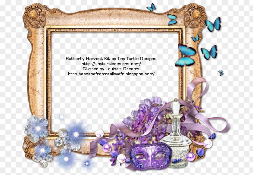 Butterfly Frame Picture Frames Blog Reality Dream PNG