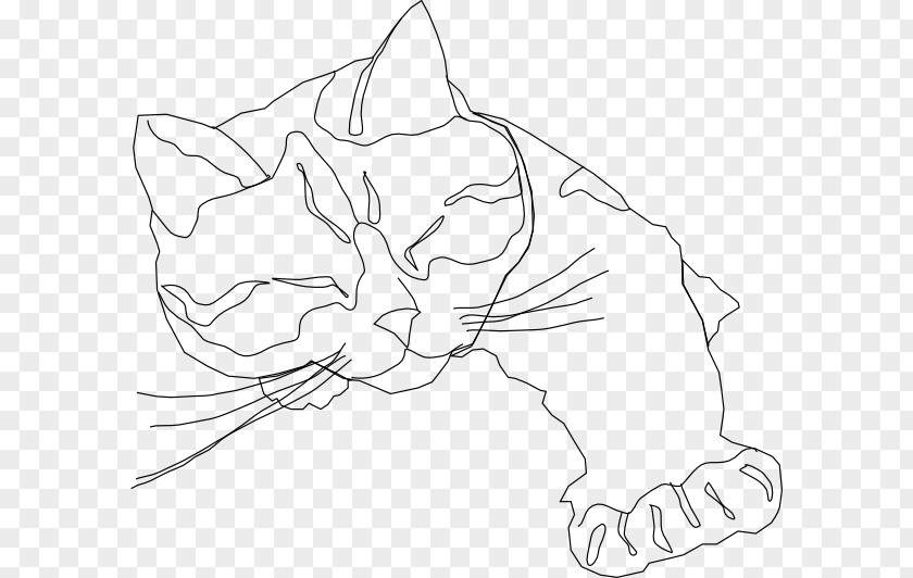 Cat Kitten Line Art Drawing PNG