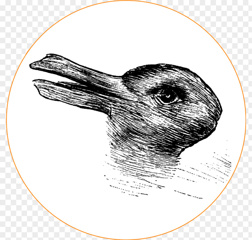 Duck Rabbit–duck Illusion Yanny Or Laurel PNG