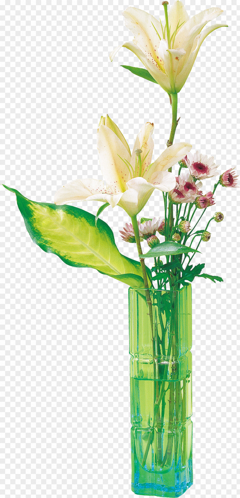 Flower Cut Flowers Lilium Clip Art PNG