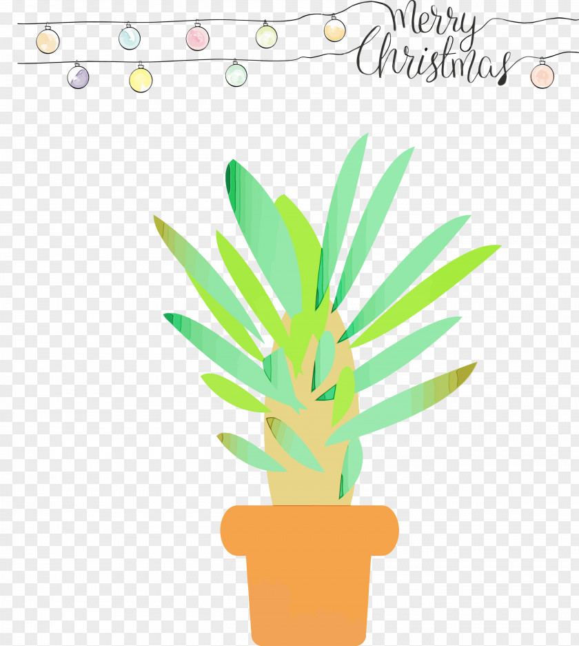 Flowerpot Houseplant Plant Flower Leaf PNG