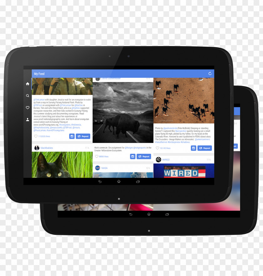 Orangutan Android Instagram Tablet Computers Video PNG