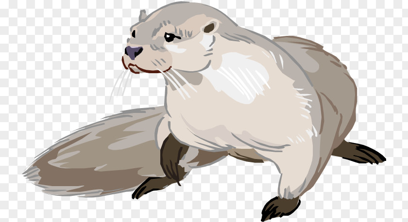 Otter Cliparts Sea North American River Drawing Cartoon Clip Art PNG
