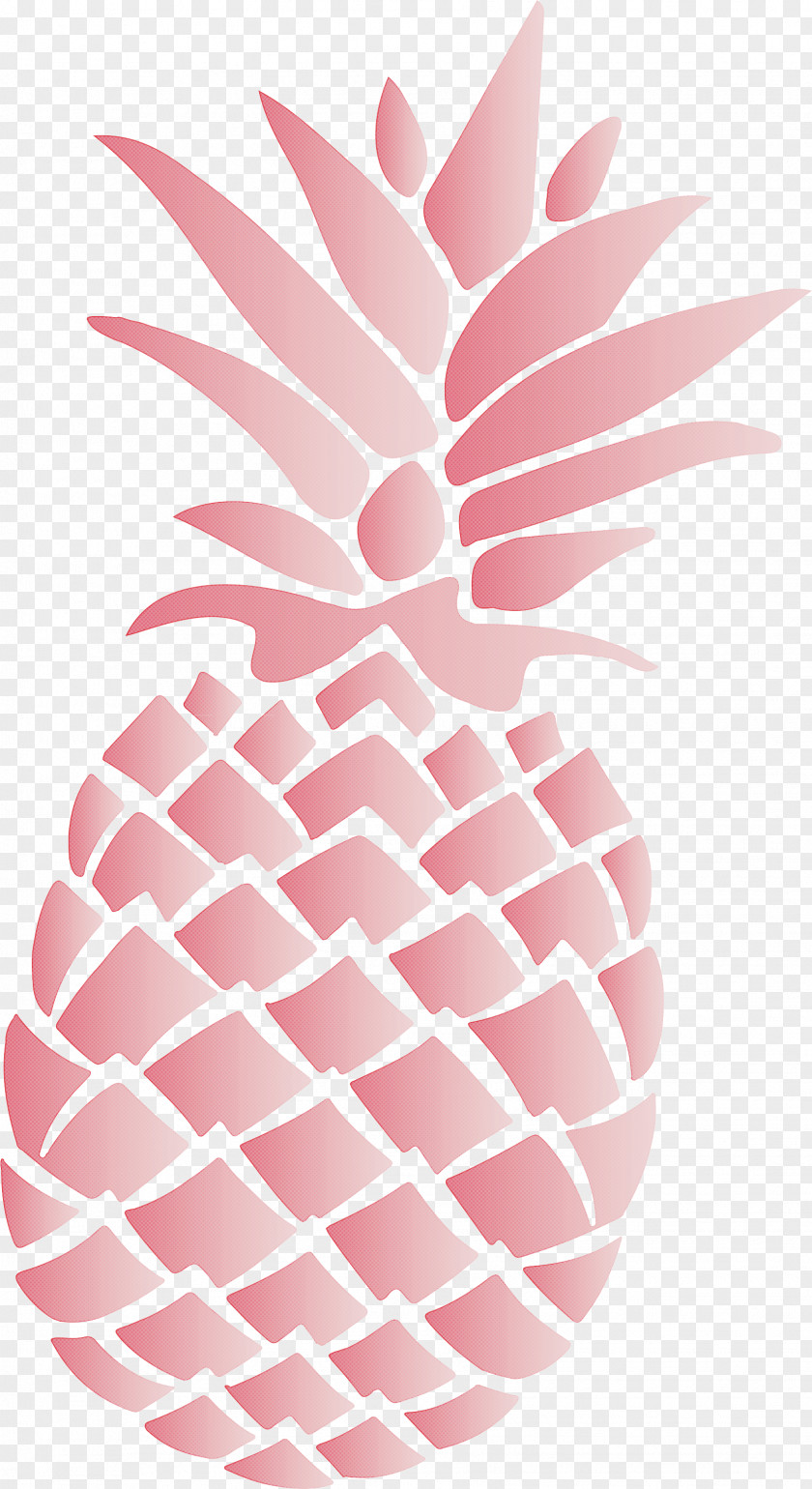 Pineapple Tropical Summer PNG