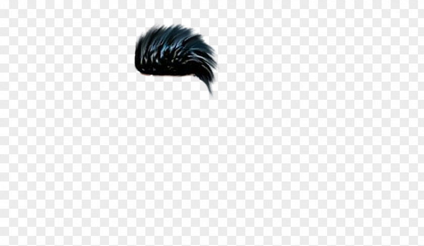 Zipper Hair Feather PNG