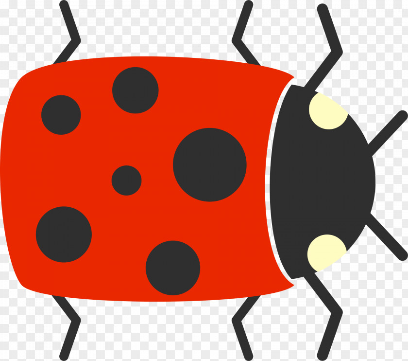 Bug Beetle Cartoon Drawing Clip Art PNG