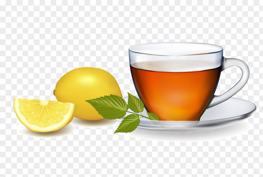 Lemon Water Green Tea Euclidean Vector Leaf Mug PNG