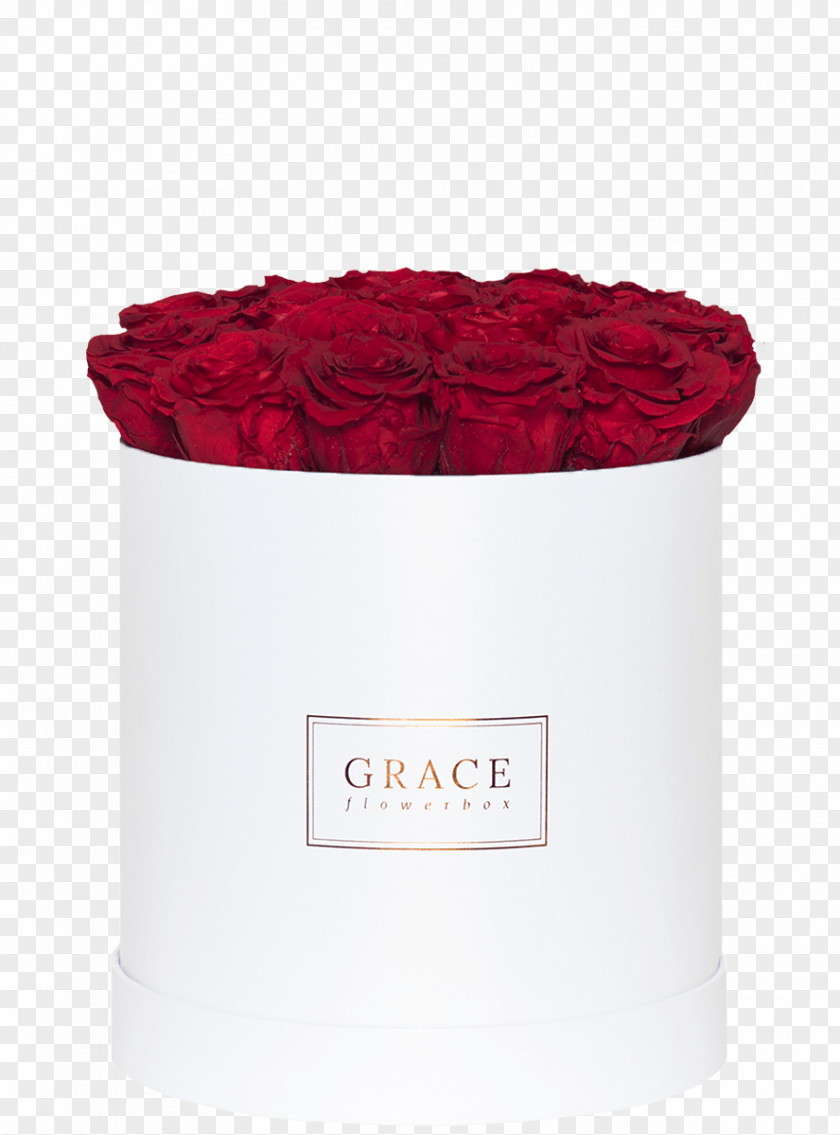 Royal Red Cluj-Napoca Box Flower Rose Paper PNG