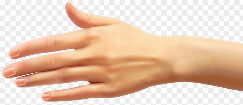 Skin Finger Hand Nail Joint PNG