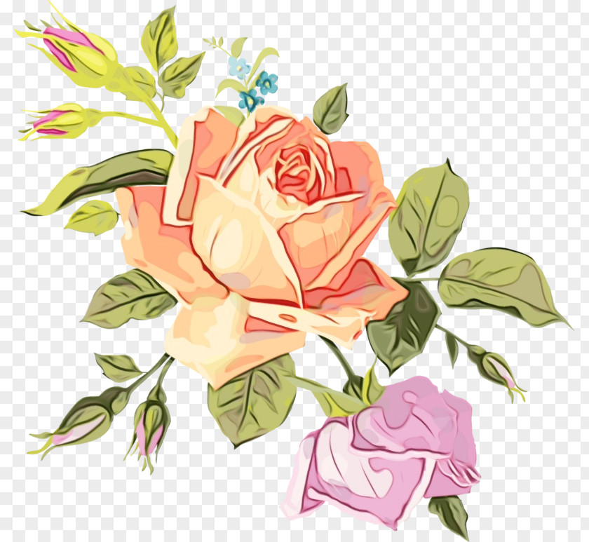Watercolor Paint Plant Stem Garden Roses PNG