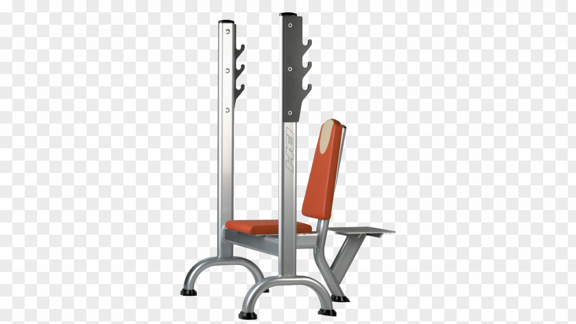 Bench Sporting Goods Exercise Equipment PNG