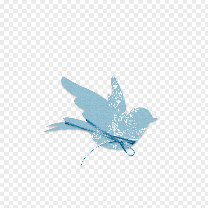 Birds Peristeri Bird Rock Dove Baptism Blue PNG