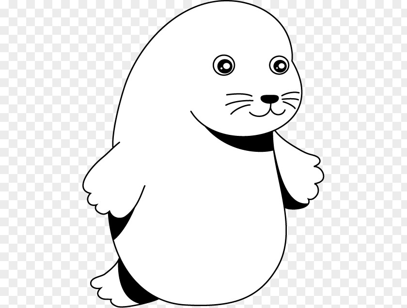 Cat Whiskers Sea Lion Earless Seal Clip Art PNG