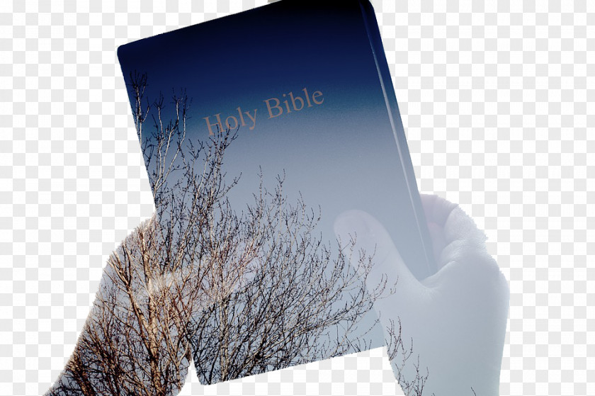 Creative Books Bible Study New Testament God's Word Translation Religious Text PNG