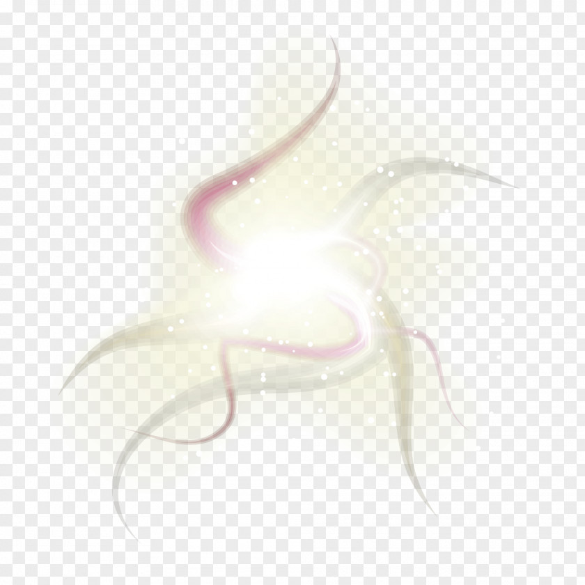 Glare,Light,effect,light Source Petal Wallpaper PNG