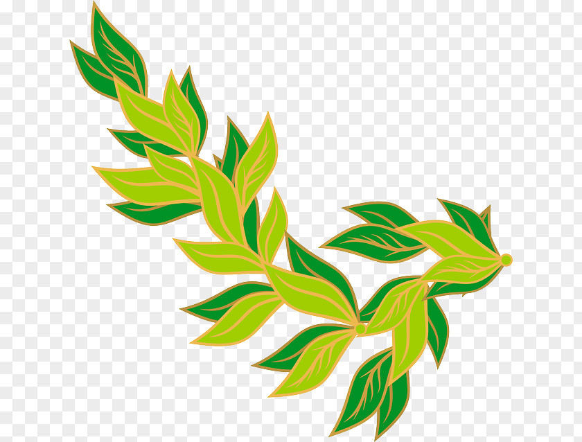 Green Border Bay Leaf Laurel Wreath Clip Art PNG