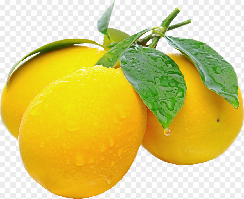 Lemon Vegetarian Food Yellow Fruit Natural Foods Plant PNG
