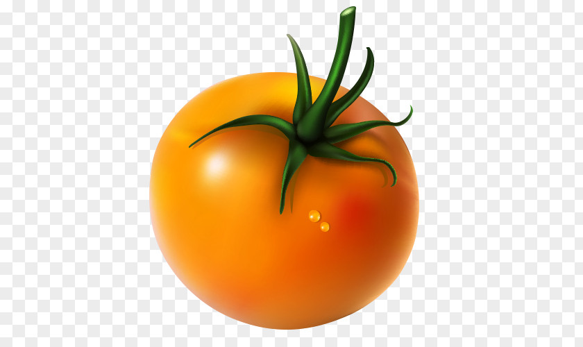 Tomato Material Plum Bush PNG