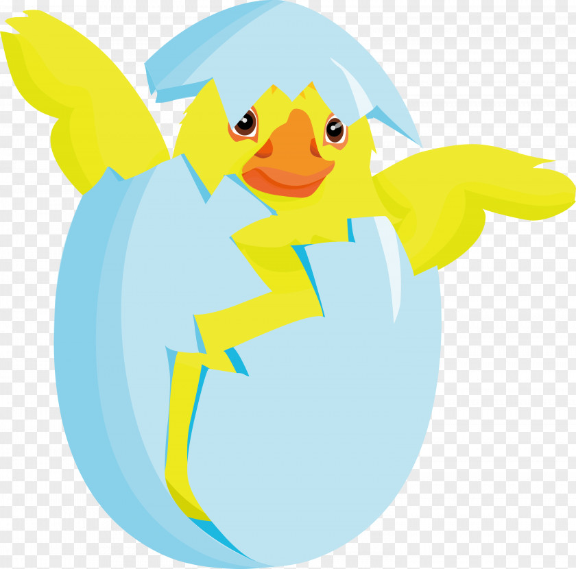 Baby Chicken PNG