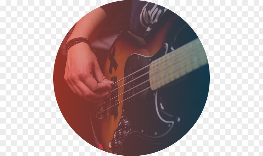 Bass Guitar Musical Instruments PNG
