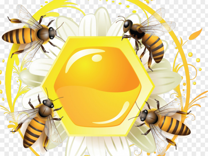 Bee Honey Label PNG