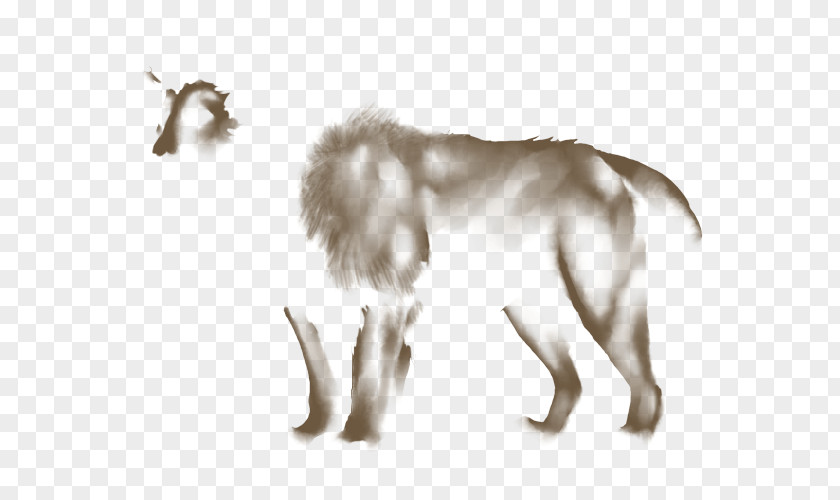 Dog Canidae Tail Wildlife Mammal PNG