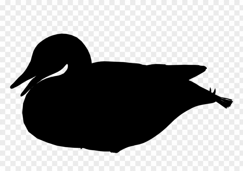 Duck Goose Clip Art Silhouette Fauna PNG