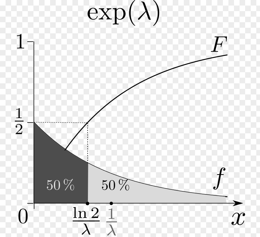Exp Exponential Distribution Probability Function Theory Mean PNG