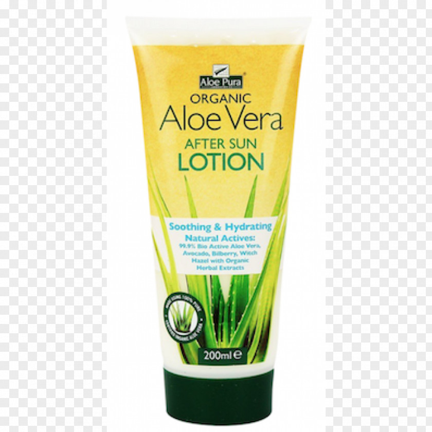 How To Draw Aloe Vera Plant Step By Sunscreen Lotion Aftersun Factor De Protección Solar PNG