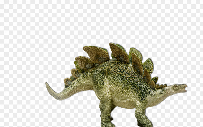 Dino Stegosaurus Dinosaur Diplodocus Brachiosaurus PNG