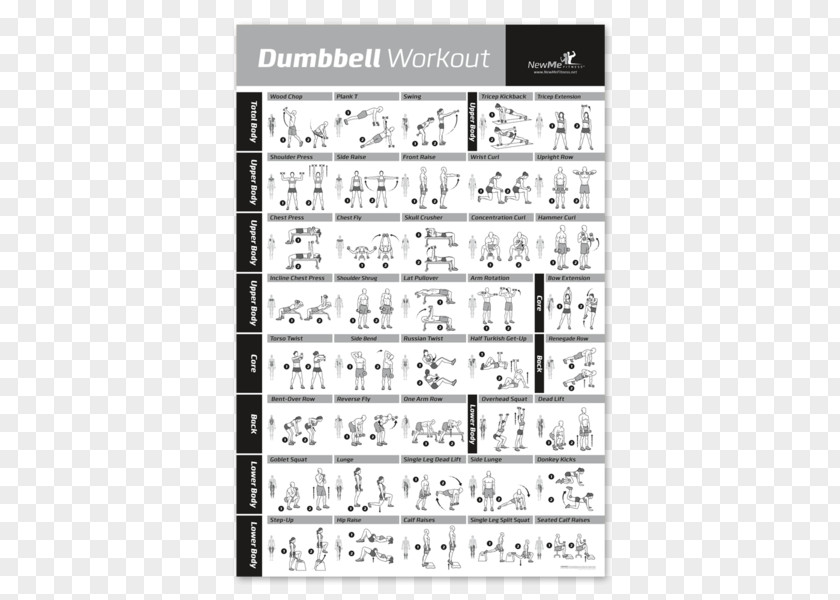 Dumbbell Weight Training Exercise Fitness Centre Strength PNG