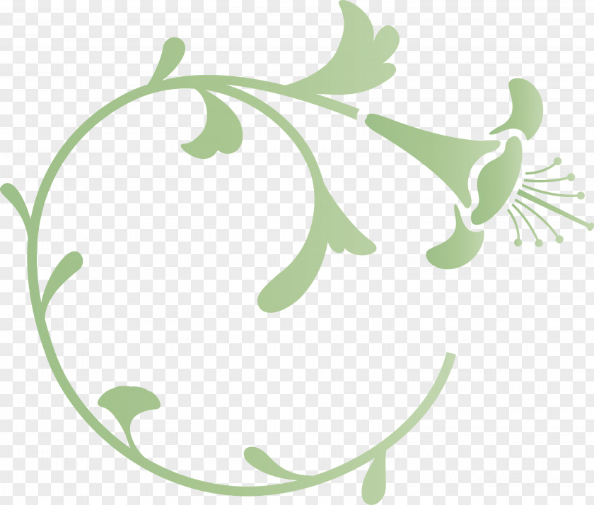 Flower Frame Decoration PNG