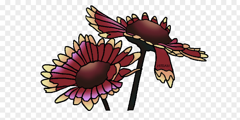 Flower Insects Cut Flowers Petal Cartoon PNG