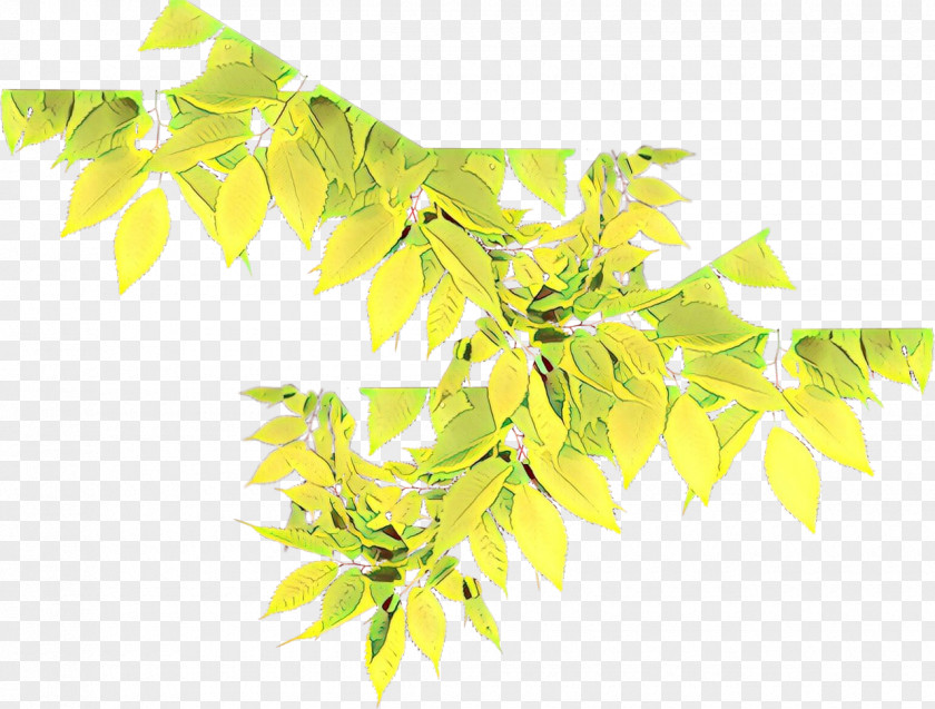 Flower Tree Branch PNG