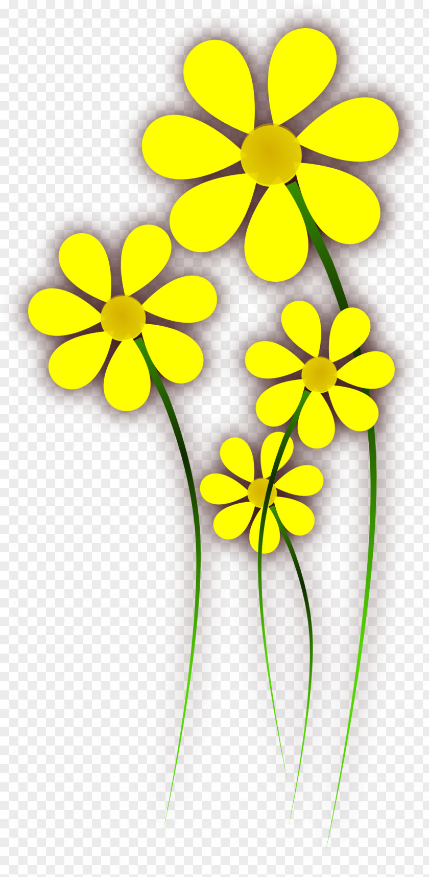 Flower Yellow Common Daisy Clip Art PNG