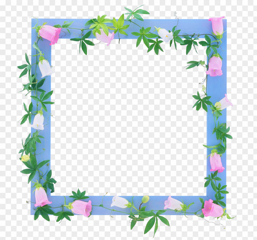 Fondos Picture Frames Morning Glory Photography PNG