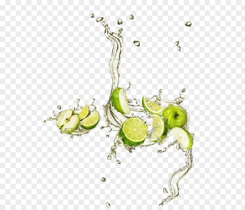 Green Apple Lime Auglis PNG