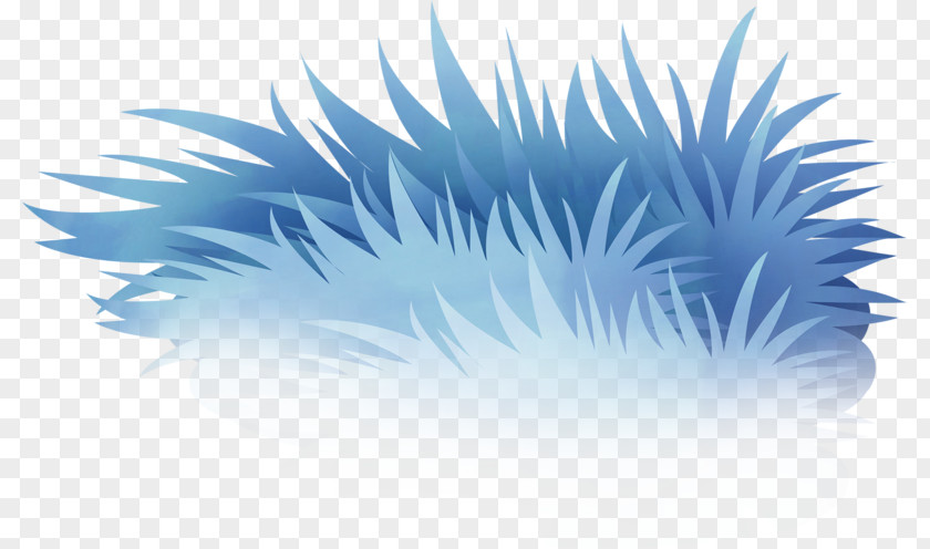 Aqua Blue Grass Drawing Sky Clip Art PNG