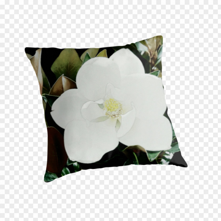 Magnolia Grandiflora Throw Pillows Cushion Flowering Plant PNG