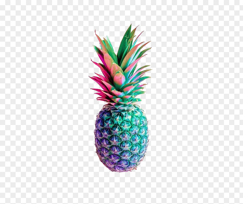 Pineapple Composition Nutritionnelle Des Fruits Desktop Wallpaper Food PNG