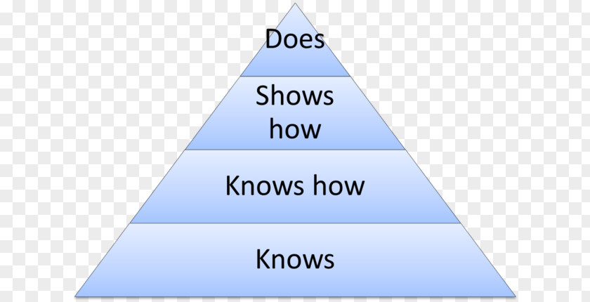 Said It Was Pyramid Strategy Strategic Planning Pension PNG