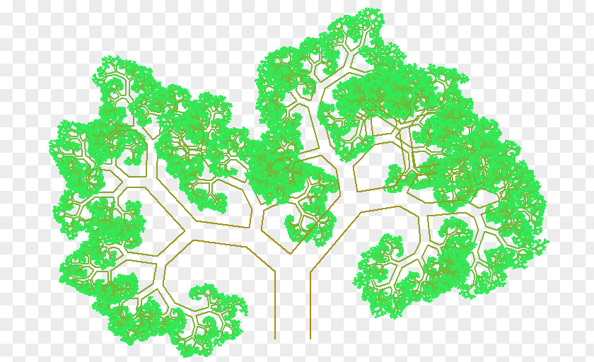 Tree Pythagoras Map Flowering Plant PNG
