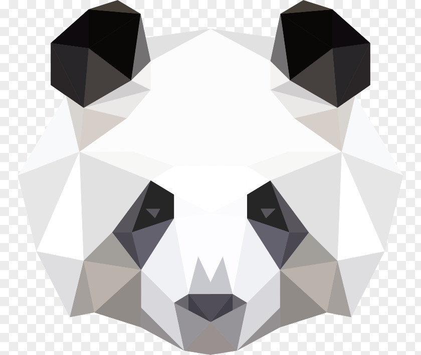 Bear Red Panda Desktop Wallpaper Ailuropoda Melanoleuca PNG