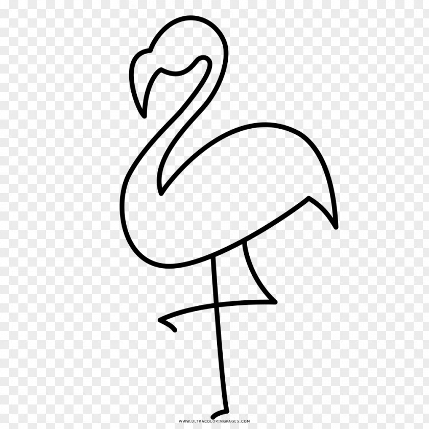 Bird Beak Flamingos Drawing Coloring Book Ausmalbild PNG